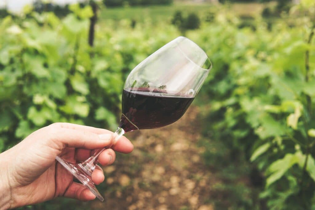 Tannins in Wine